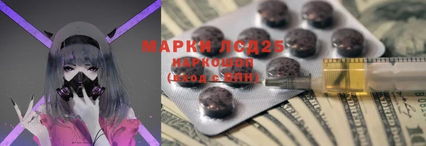 амф Инсар