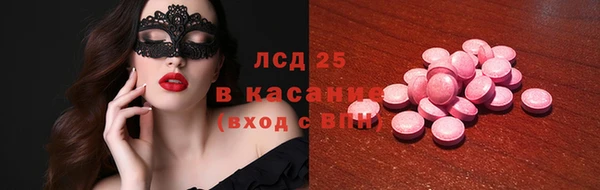 гашик Инта