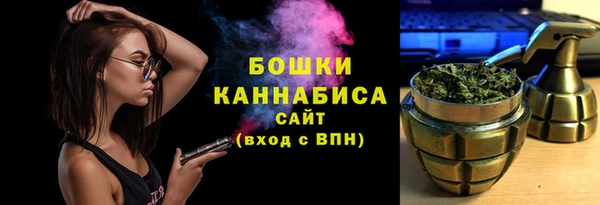 гашик Инта