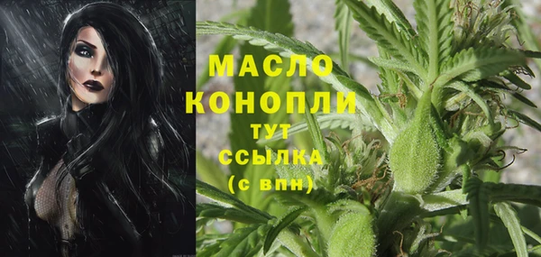 амф Инсар