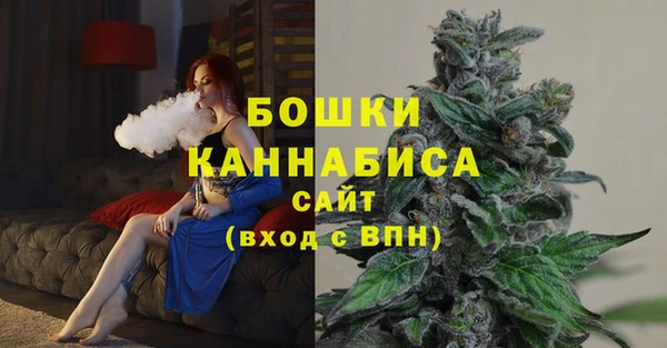амф Инсар