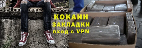 гашик Инта