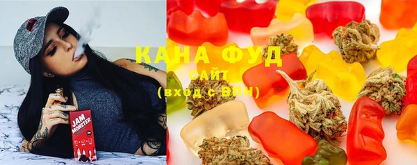 гашик Инта