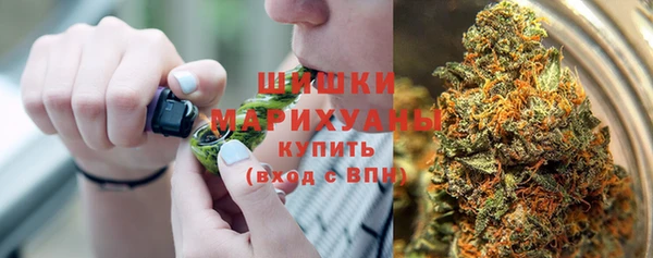 гашик Инта