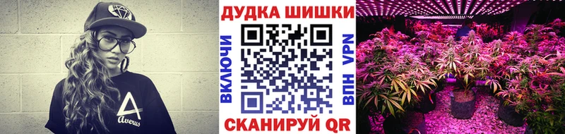 что такое   Малгобек  Бошки марихуана семена 